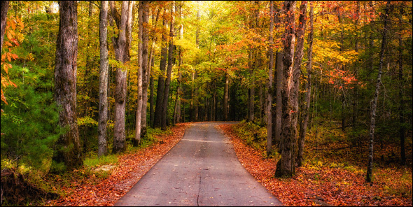 autumn-road