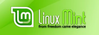 Q&A: How do I change the DNS server settings to use Open DNS in Linux Mint?